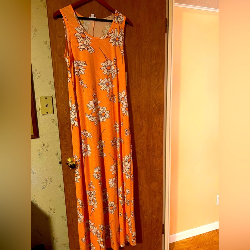 NEW LuLaRoe Dani dress